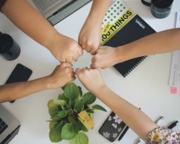 person holding green flower bud
